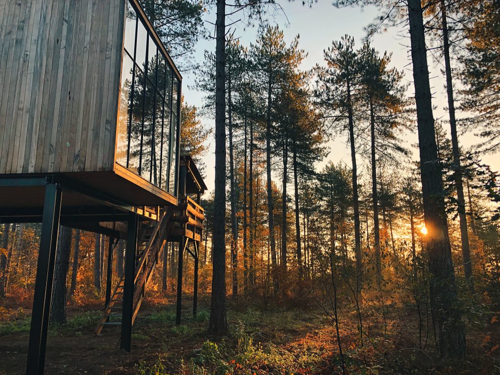 Treetop Cabin tijdens zonsopgang