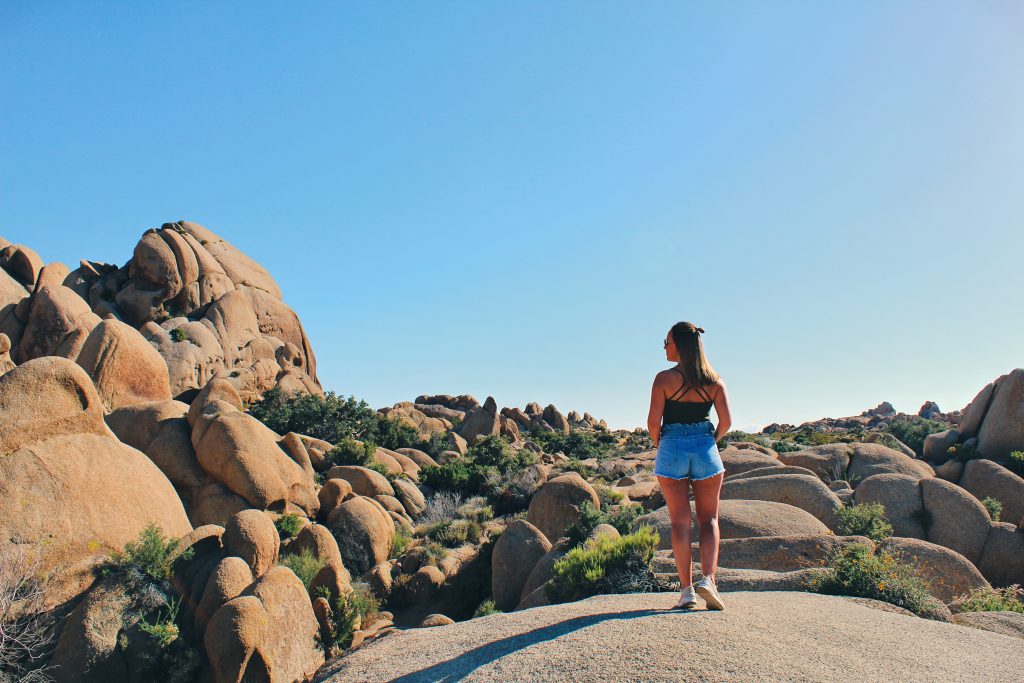 Joshua Tree National Park