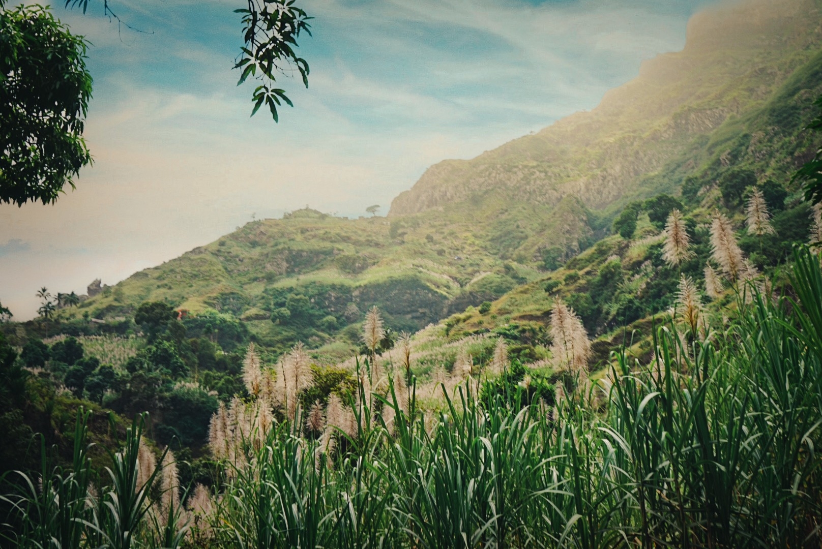 Een vallei vol suikerriet