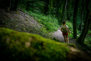 Boswandeling in de Ardennen