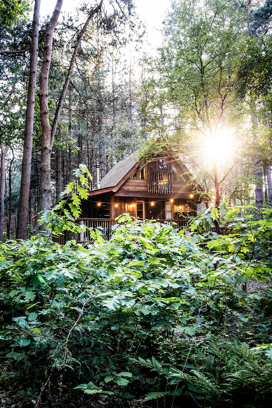 Treelodge Retie, de meest unieke cabins in België