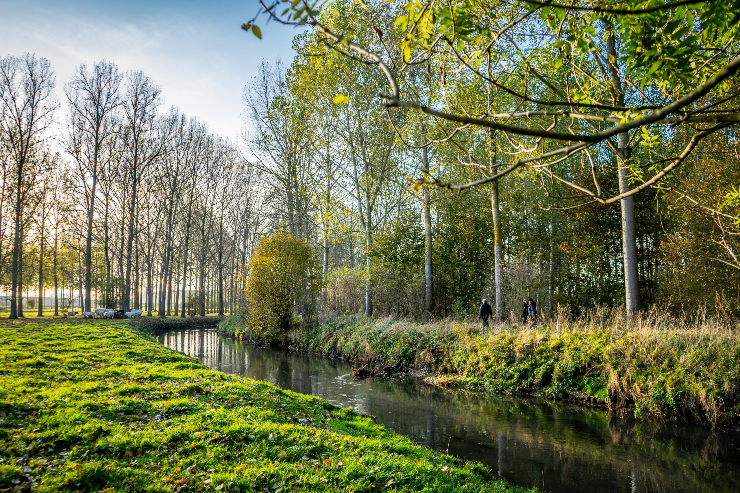 3x een verborgen herfstwandeling in Haspengouw