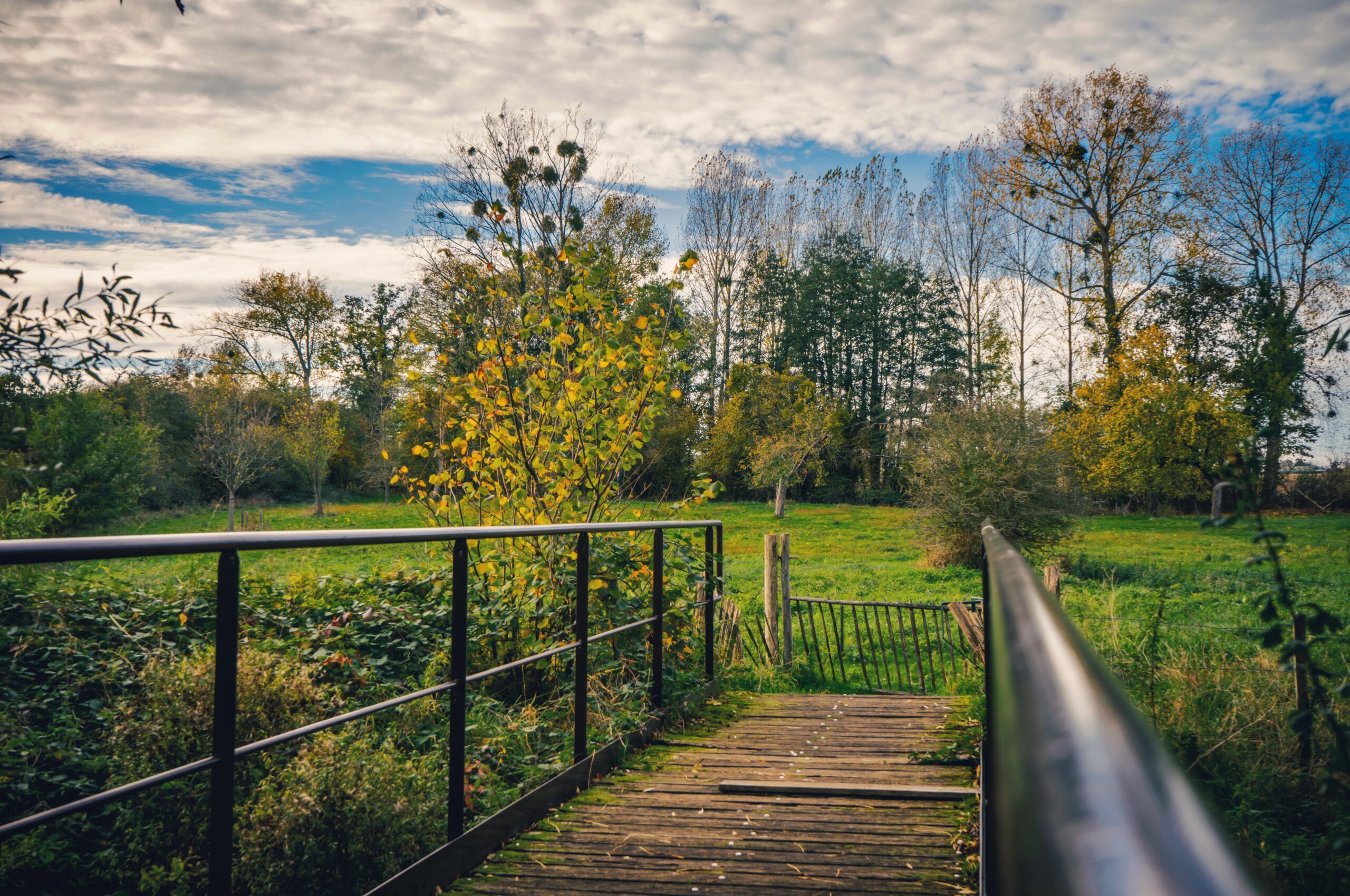 Verborgen Moois Zammelen - herfstwandeling door de Mombeekvallei