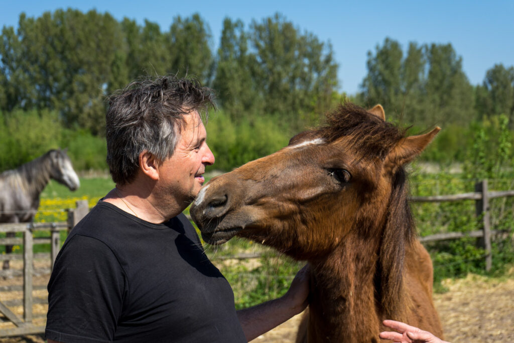 Ontdek jouw leiderschapstype tijdens een coachingsessie van Philip met paarden als een spiegel voor jezelf. 