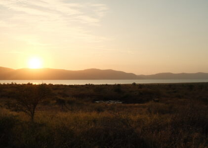 Glamping in Zuid-Afrika: safari magie bij AfriCamps Pongola