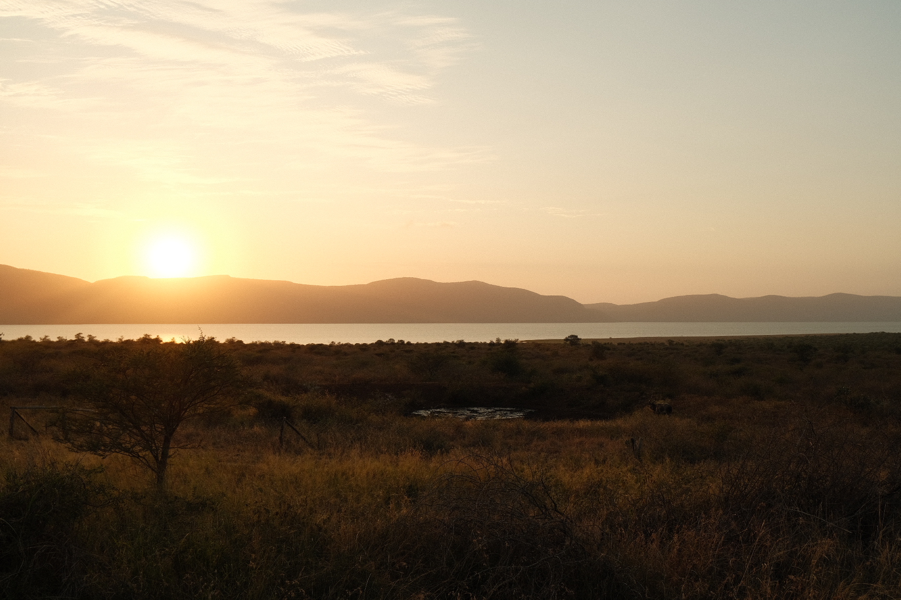 Glamping in Zuid-Afrika: safari magie bij AfriCamps Pongola