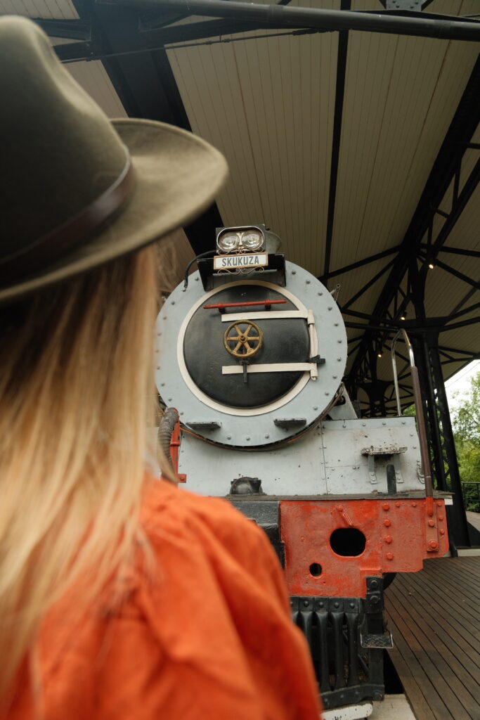 Old steam train locomotive at Kruger Station