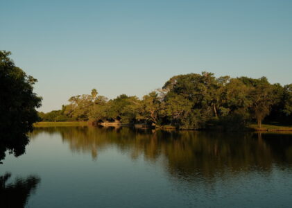 The ultimate glamping experience near Kruger National Park